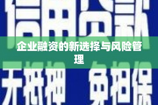 双鸭山企业融资的新选择与风险管理