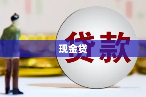 双鸭山现金贷
