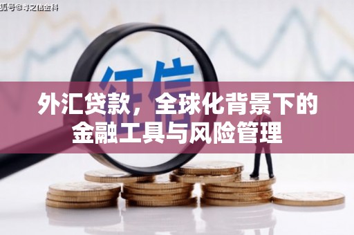 双鸭山外汇贷款，全球化背景下的金融工具与风险管理